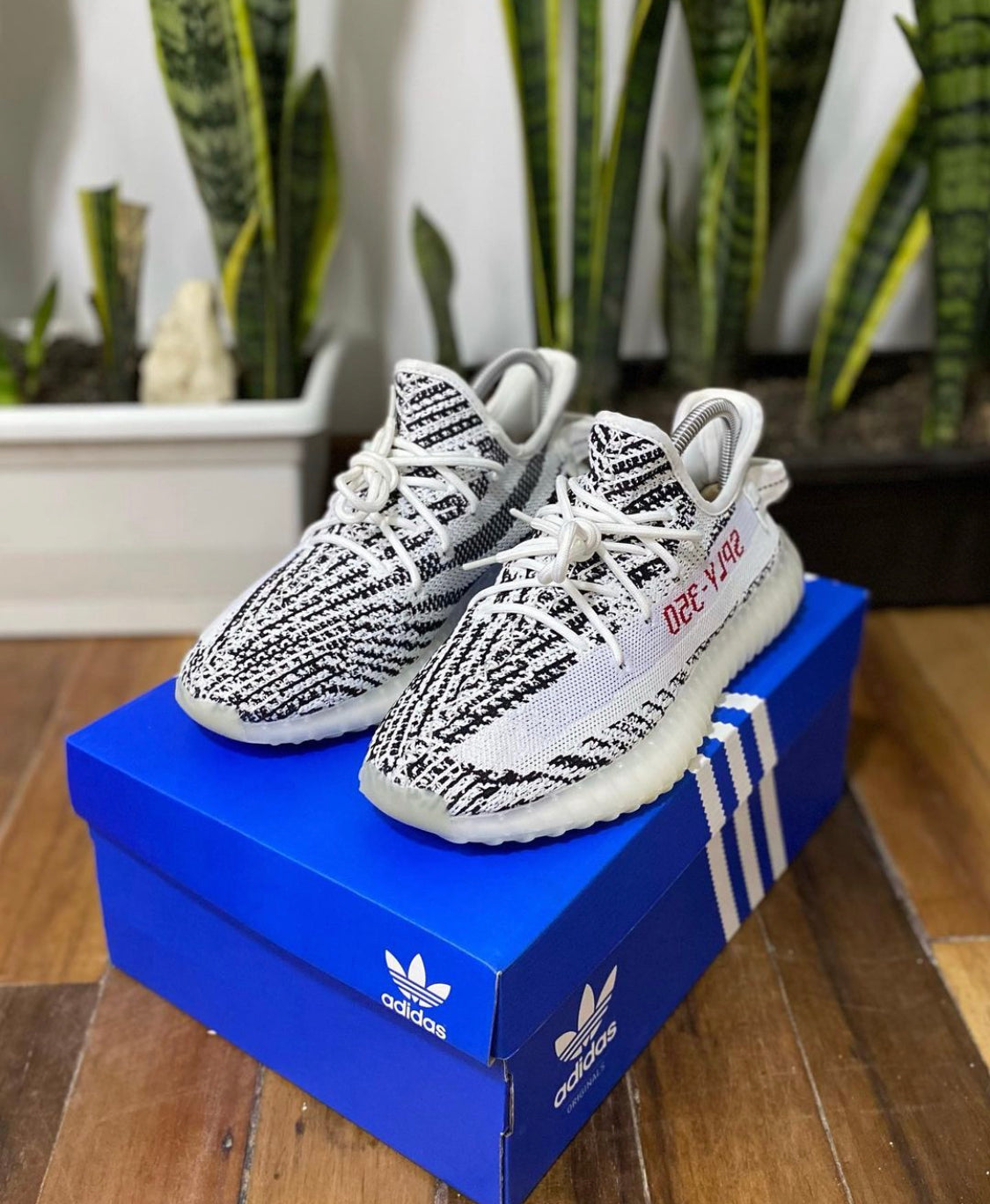 Adidas yeezy zebra replica argentina best sale