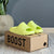 YEEZY SLIDE VERDE